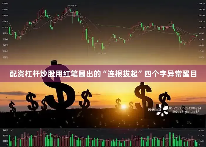 配资杠杆炒股用红笔圈出的“连根拔起”四个字异常醒目